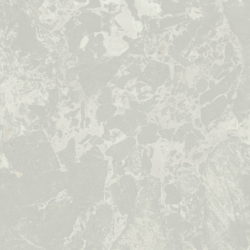 AURORA WHITE HONED 120X120...