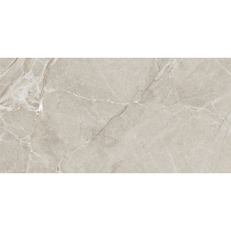 COLEMANITE STONE GREY MAT 60X120 REKT. GAT.1 (P.86703)