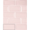 TIANA PINK POŁYSK 6,5X13 GAT.1 (P.87871)