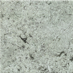 HIJAU GREEN MAT 15X15 GAT.1...