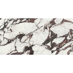 MEDICEA MARBLE POLER 60X120...
