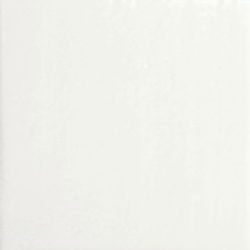 OLA BLANCO POŁYSK 10X10...