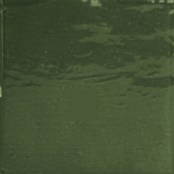 OLA VERDE POŁYSK 10X10...