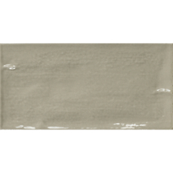 PIEMONTE AVOCADO POŁYSK...