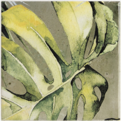 ARECA OLIVE GREEN MIX...