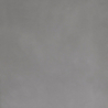 EVOLUTION GRIS NATURAL 60X60 REKT. GAT.1 (P.89759)