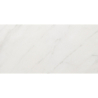 EVOQUE BLANCO MAT 30X60 REKT. GAT.1 (P.89655)