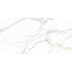 BORGHINI GOLD STARLIGHT...