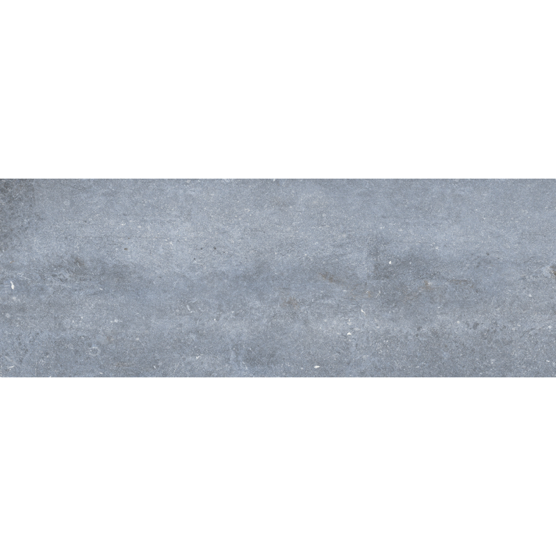 RUE DE PARIS ACERO MAT 25X70 GAT.1 (P.89501)