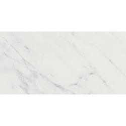 EVOQUE BLANCO BRILLO 25X50...