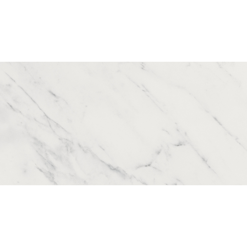 EVOQUE BLANCO BRILLO 25X50 GAT.1 (P.89605)