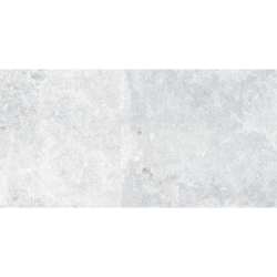 RUE DE PARIS GRIS MAT 25X50...