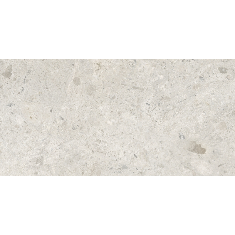 AMBROSIA ICE DIGITAL SOFT 60X120 REKT. GAT.1 (P.88575)