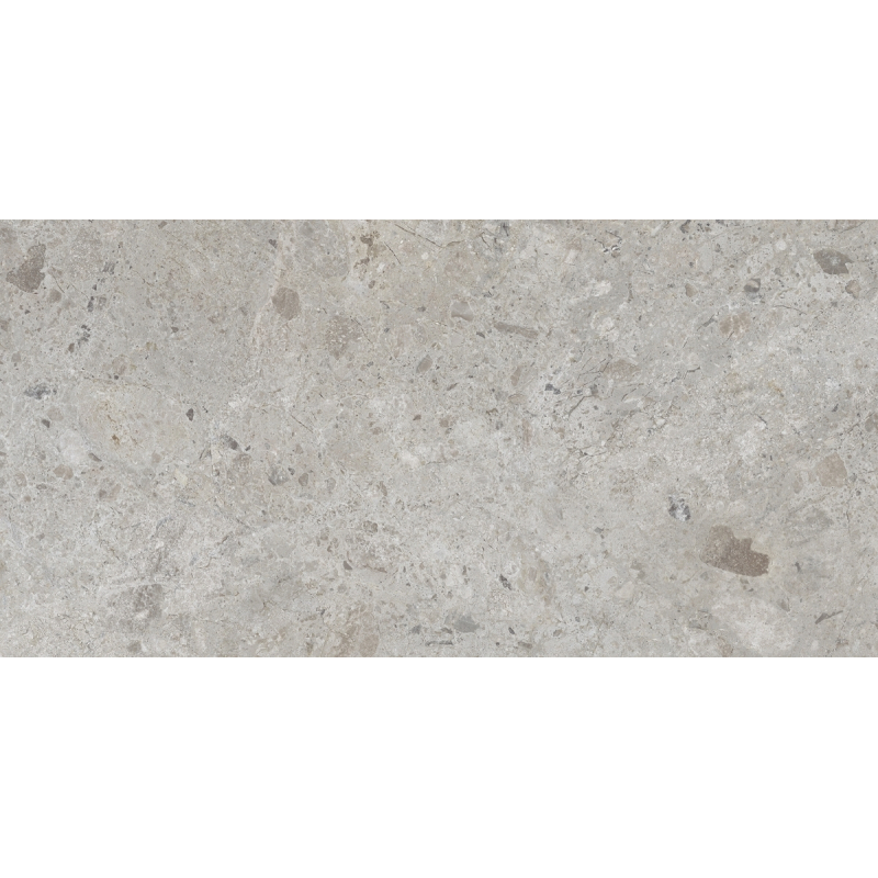 AMBROSIA GREY DIGITAL SOFT 60X120 REKT. GAT.1 (P.88573)