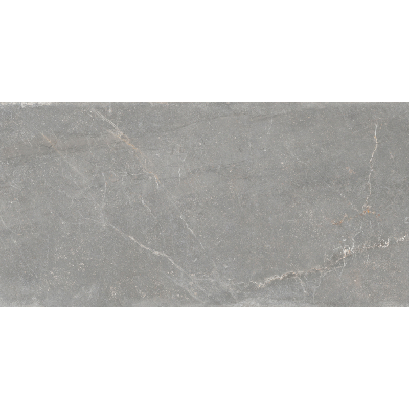 BLEUEMIX GREY MAT 60X120 REKT. GAT.1 (P.89047)