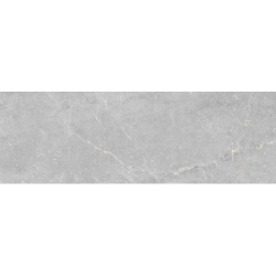 BLEUEMIX GREY MAT 40X120...