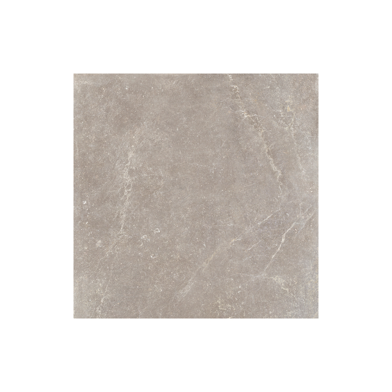 BLEUEMIX TAUPE MAT 120X120 REKT. GAT.1 (P.88991)