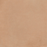 TERRACOTA BARRO ANTISLIP 60X60 REKT. GAT.1 (P.89437)