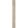 HEARTWOOD CARDAMON GRES SZKL. REKT. STRUKTURA MAT. 19,8X179,8 GAT.1 (P.48683)