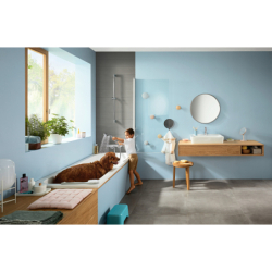 Bateria wannowa, termostatyczna, natynkowa Chrom Ecostat E HANSGROHE 15774000
