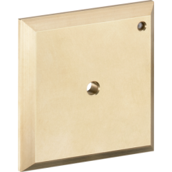 Płytka do przepłukiwania...