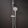 Główka prysznicowa 100 Vario EcoSmart+ Chrom Vernis Blend HANSGROHE 26090000