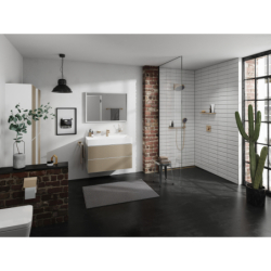Głowica prysznicowa 250 1jet EcoSmart Brąz Szczotkowany Rainfinity HANSGROHE 26229140