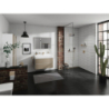 Głowica prysznicowa 250 1jet EcoSmart Brąz Szczotkowany Rainfinity HANSGROHE 26229140