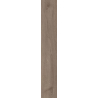 WILDLAND NATURALE GRES SZKL. REKT. 14,8X89,8 GAT.1 (P.49223)