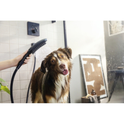 Główka prysznicowa dla psów Select 150 3jet Czarny Matowy DogShower HANSGROHE 26640670