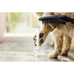 Główka prysznicowa dla psów Select 150 3jet Czarny Matowy DogShower HANSGROHE 26640670