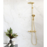 Komplet prysznicowy 240 1jet PowderRain z termostatem Złoty Optyczny Polerowany Raindance Select S HANSGROHE 27633990