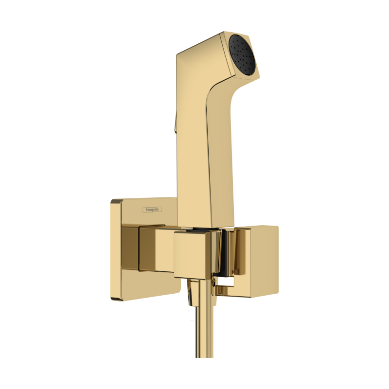 Główka prysznic. Bidette 1 jet E EcoSmart dla wody zimnej z uchwytem i wężem prysznicowym 125 cm Złoty poler HANSGROHE 29231990