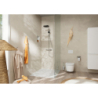 Szczotka do WC z pojemnikiem, ścienna Chrom AddStoris HANSGROHE 41752000