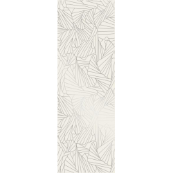 RAY SILVER INSERTO 25X75...