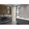 RAY SILVER INSERTO 25X75 GAT.1 (P.49895)