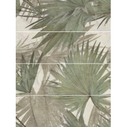 GREEN PHILOSOPHY OLIVE...