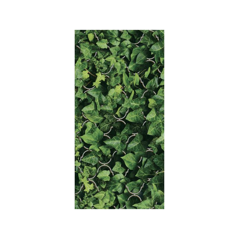 UNIWERSALNE INSERTO SZKLANE DREAM 30X60 GAT.1 (P.49981)
