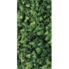 UNIWERSALNE INSERTO SZKLANE DREAM 30X60 GAT.1 (P.49981)
