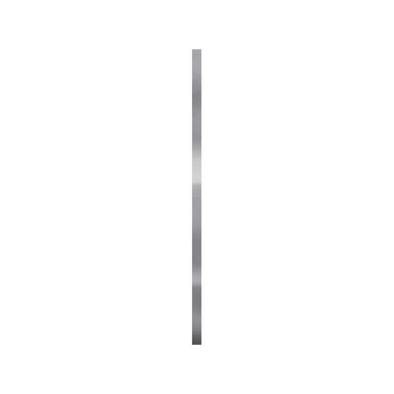 UNIWERSALNA LISTWA METALOWA POLYSK PROFIL 2X59,8 GAT.1 (P.50185)