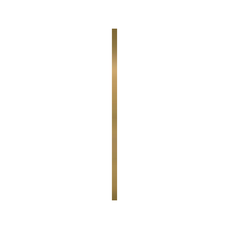 UNIWERSALNA LISTWA METALOWA ORO POLYSK PROFIL 2X60 GAT.1 (P.50193)