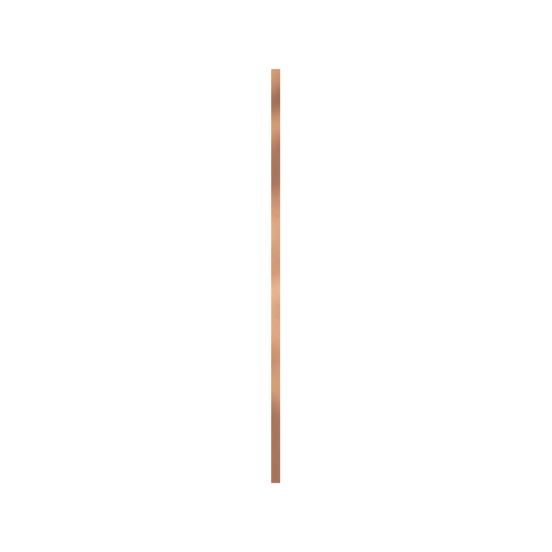 UNIWERSALNA LISTWA METALOWA GOLD POLYSK PROFIL 2X89,8 GAT.1 (P.50209)