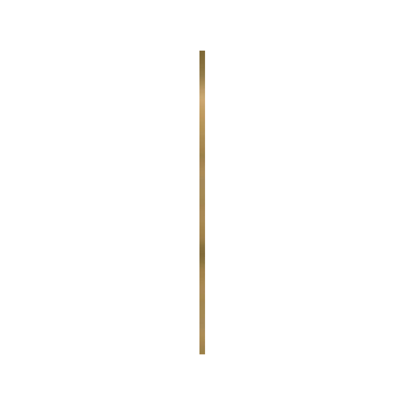 UNIWERSALNA LISTWA METALOWA ORO POLYSK PROFIL 2x89,8 GAT.1 (P.50213)