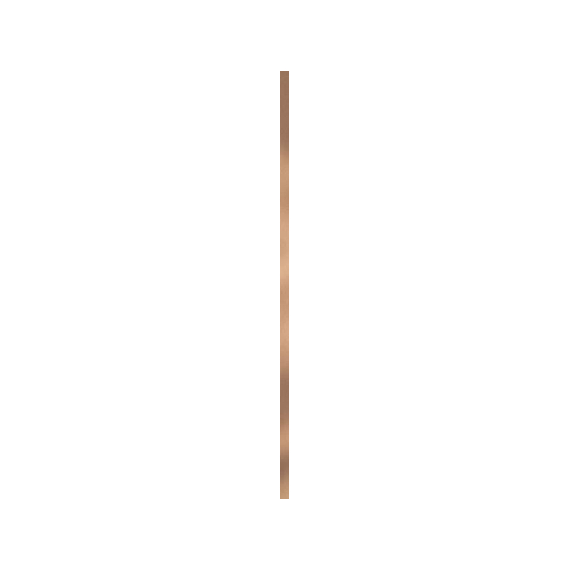 UNIWERSALNA LISTWA METALOWA GOLD MAT PROFIL 2X89,8 GAT.1 (P.50215)