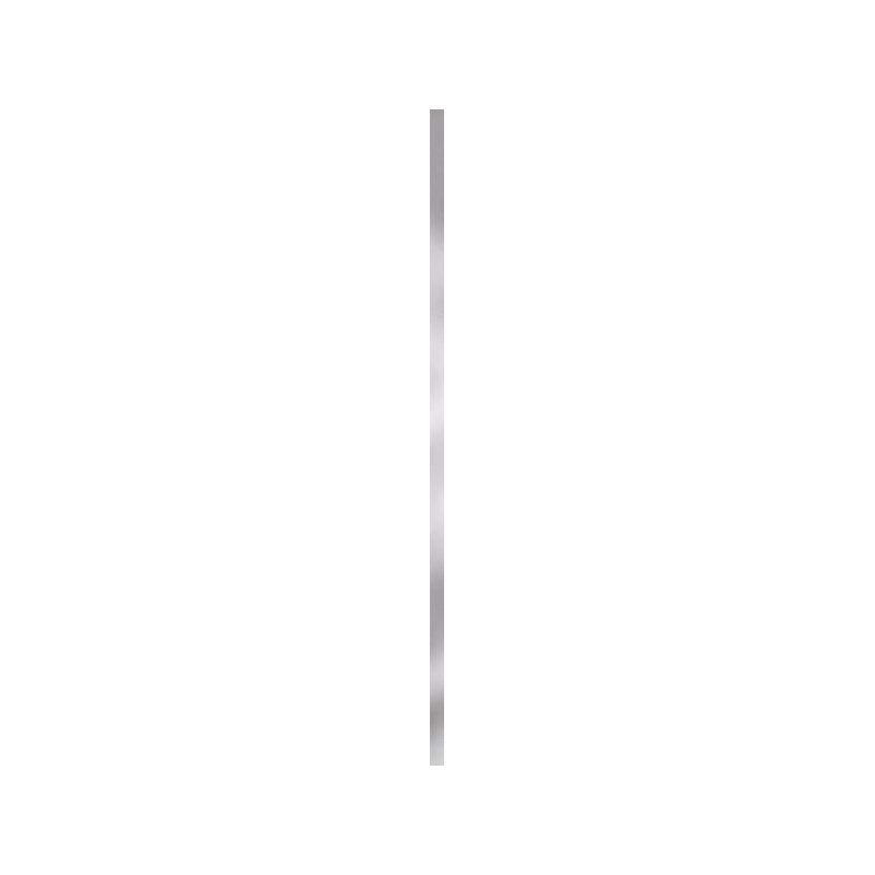 UNIWERSALNA LISTWA METALOWA MAT PROFIL 2X89,8 GAT.1 (P.50217)