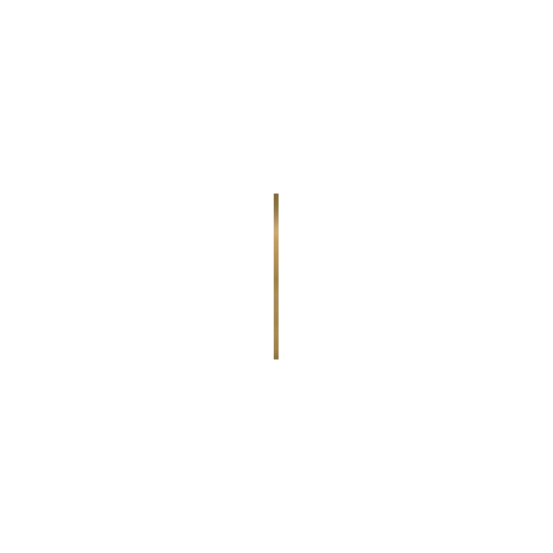 UNIWERSALNA LISTWA METALOWA ORO MAT PROFIL 2x89,8 GAT.1 (P.50219)
