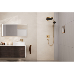 Wnęka ścienna Biały Matowy z ozdobną ramką 300/300/100 Brąz Szczotkowany XtraStoris Individual HANSGROHE 56099140