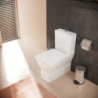 Spłuczka, zasilanie boczne Biały EluPura Original Q HANSGROHE 60271450