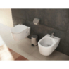 Bidet wiszący 540 z otworem na baterię, z przelewem Biały EluPura Original S HANSGROHE 60281450