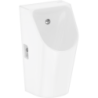 Pisuar z zasilaniem od tyłu, odpływ z tyłu, bezkołnierzowy, SmartClean Biały EluPura Original S HANSGROHE 61174450